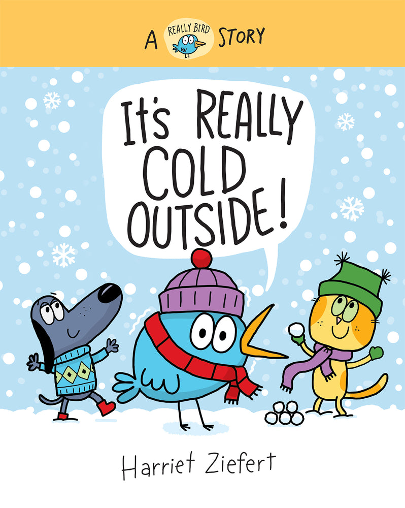 Book cover for It's Really Cold Outside: A Really Bird Story