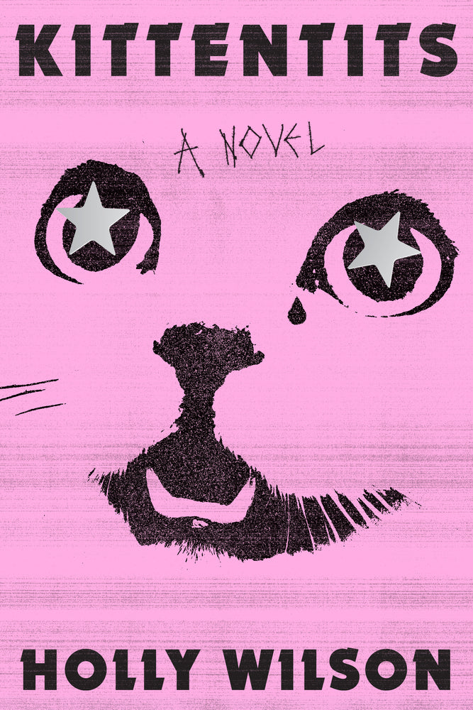 Book cover for Kittentits
