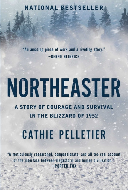 Book cover for Northeaster: A Story of Courage and Survival in the Blizzard of 1952