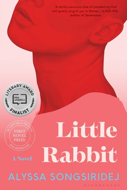 Book cover for Little Rabbit