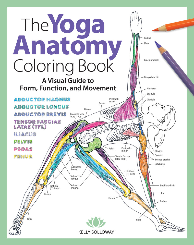 Book cover for Yoga Anatomy Coloring Book: A Visual Guide to Form, Function, and Movement