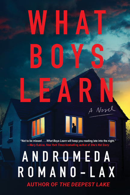Book cover for What Boys Learn
