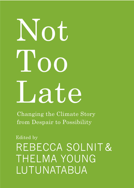 Book cover for Not Too Late: Changing the Climate Story from Despair to Possibility