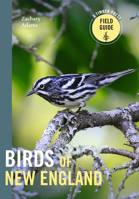 Book cover for Birds of New England: A Timber Press Field Guide