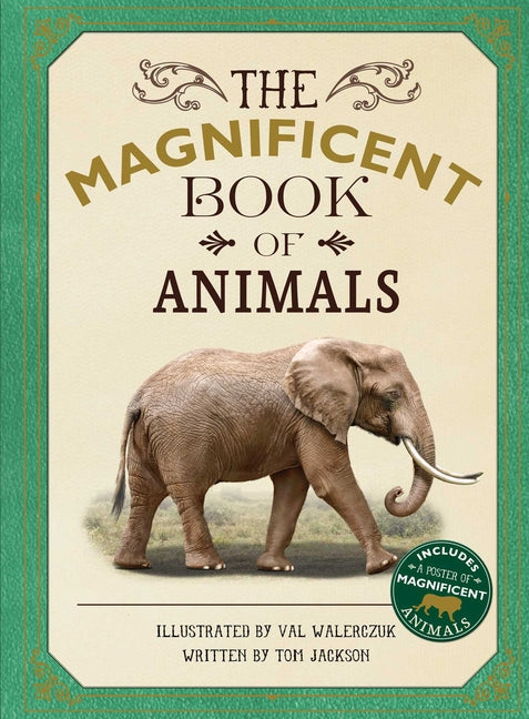 Book cover for Magnificent Book of Animals