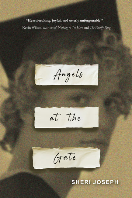Book cover for Angels at the Gate