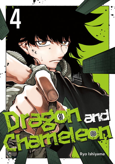 Book cover for Dragon and Chameleon 04