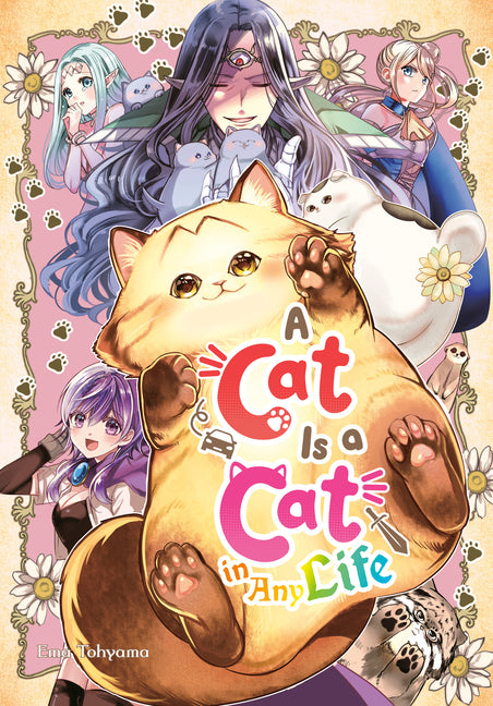 Book cover for Cat Is a Cat in Any Life