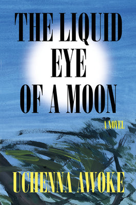 Book cover for The Liquid Eye of a Moon