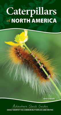 Book cover for Caterpillars of North America: Easily Identify 90 Common Butterflies and Moths