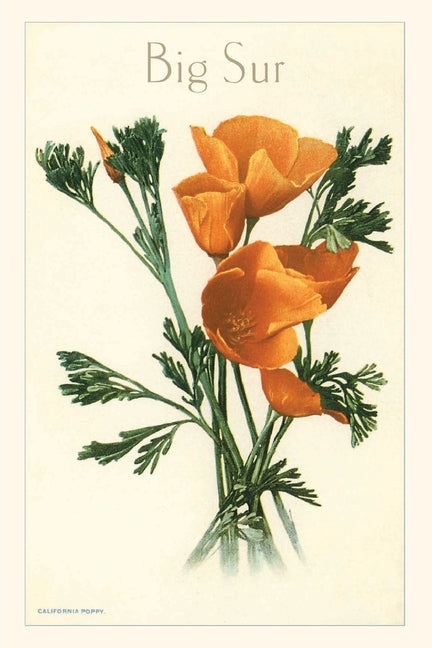 Image for variant 9781648117114