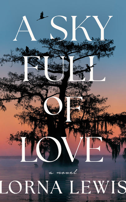 Book cover for Sky Full of Love