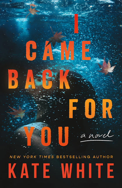 Book cover for I Came Back for You
