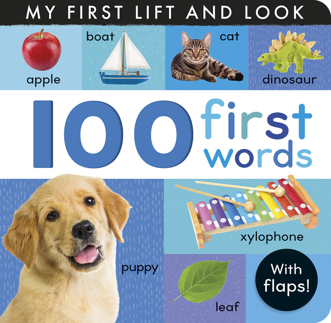 Book cover for 100 First Words: My First Lift and Look (with Flaps)