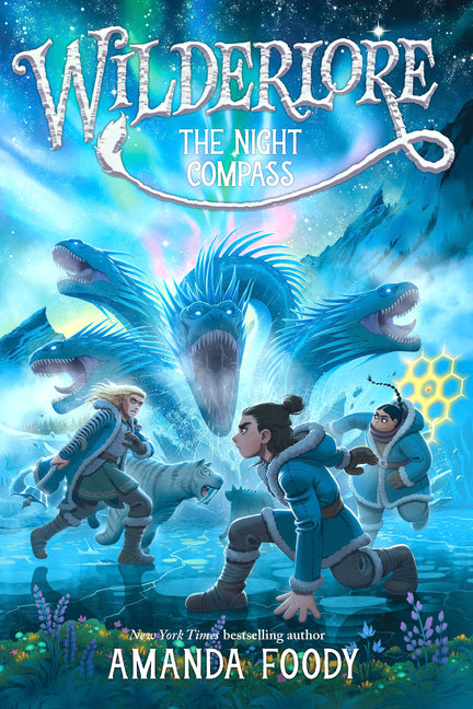Book cover for Night Compass (Reprint)