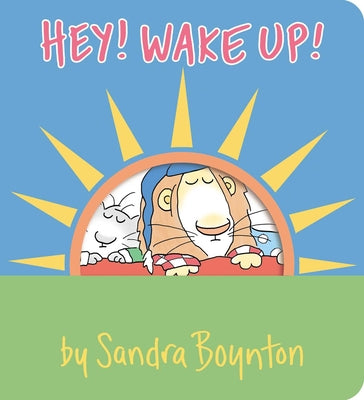 Book cover for Hey! Wake Up!