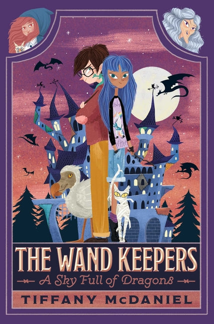 Book cover for Sky Full of Dragons