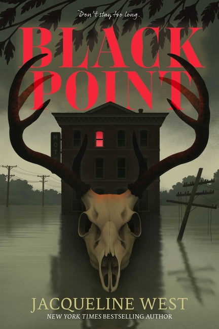 Book cover for Black Point