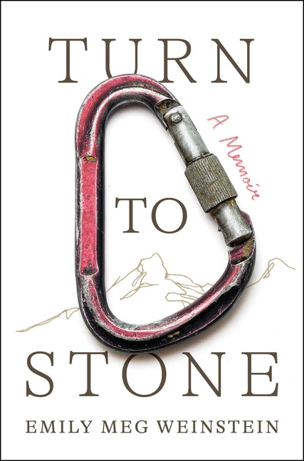 Book cover for Turn to Stone: A Memoir