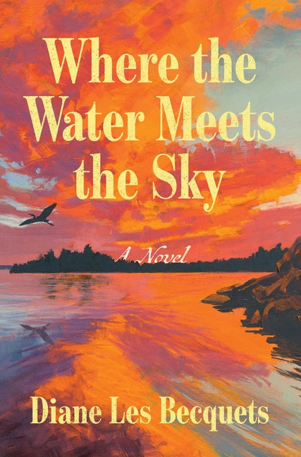 Book cover for Where the Water Meets the Sky