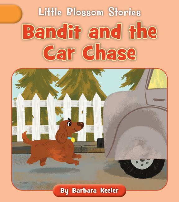 Book cover for Bandit and the Car Chase