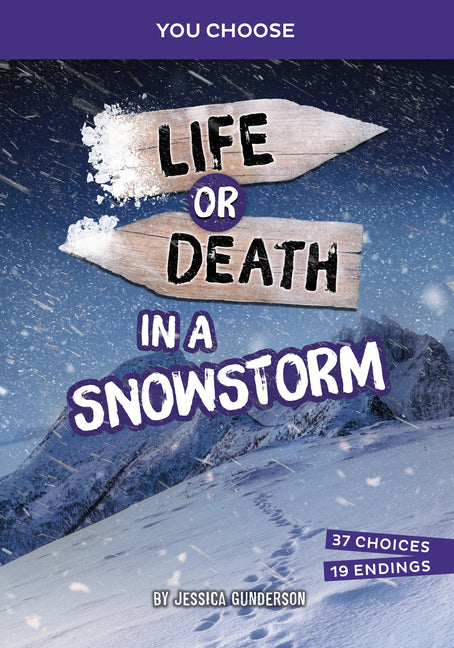 Book cover for Life or Death in a Snowstorm: An Interactive Survival Adventure