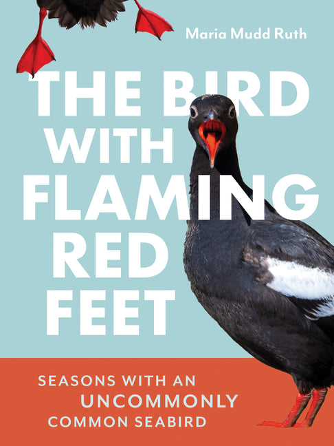 Book cover for Bird with Flaming Red Feet: Seasons with an Uncommonly Common Seabird