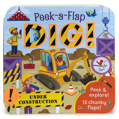 Book cover for Dig!