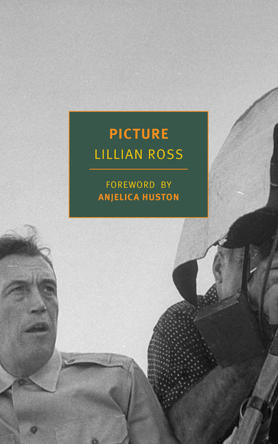 Book cover for Picture