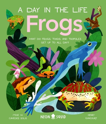 Book cover for Frogs (a Day in the Life): What Do Frogs, Toads, and Tadpoles Get Up to All Day?