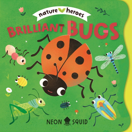 Book cover for Brilliant Bugs (Nature Heroes)