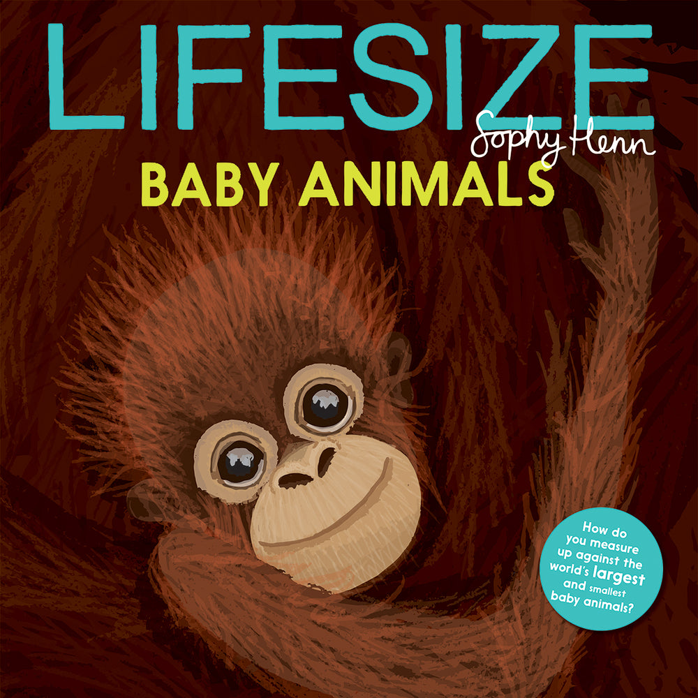 Book cover for Lifesize Baby Animals