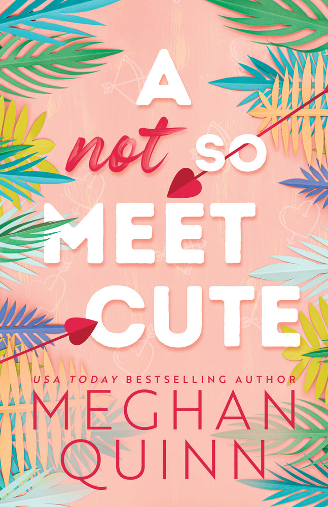 Book cover for A Not So Meet Cute