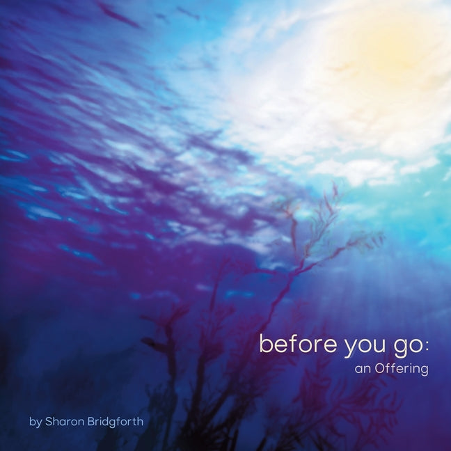 Book cover for before you go: an Offering