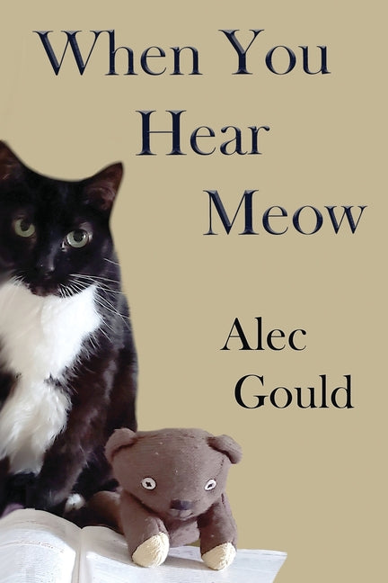 Book cover for When You Hear Meow