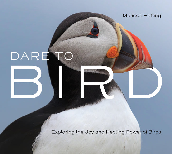Book cover for Dare to Bird: Exploring the Joy and Healing Power of Birds
