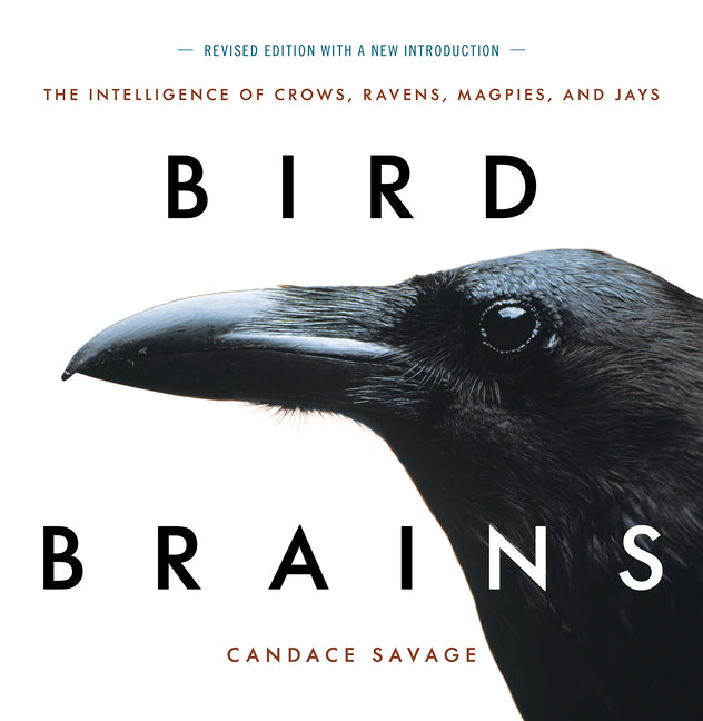 Book cover for Bird Brains: The Intelligence of Crows, Ravens, Magpies, and Jays
