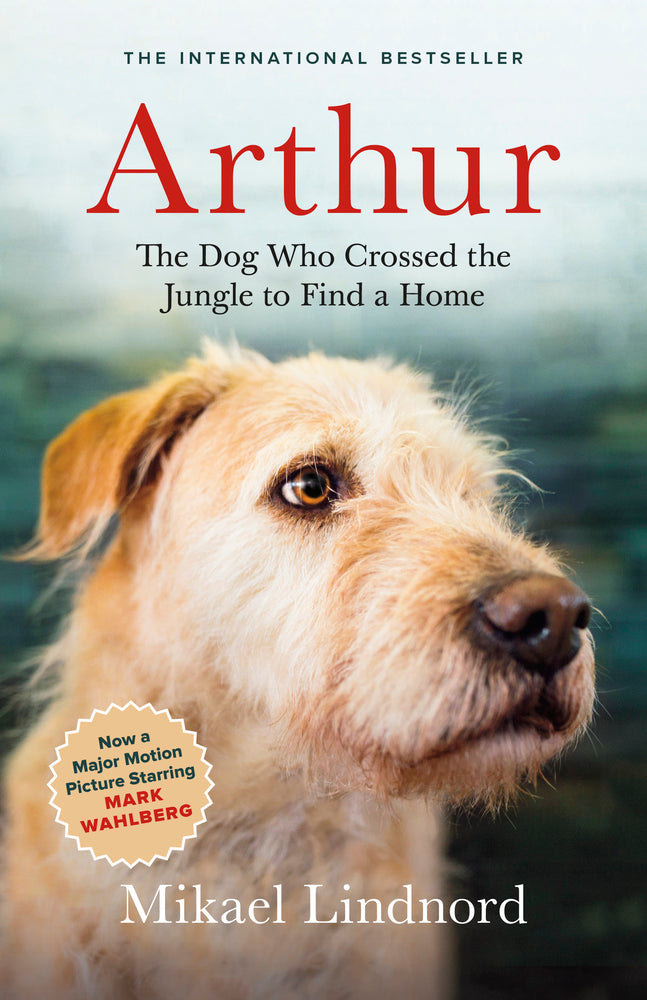 Book cover for Arthur: The Dog Who Crossed the Jungle to Find a Home