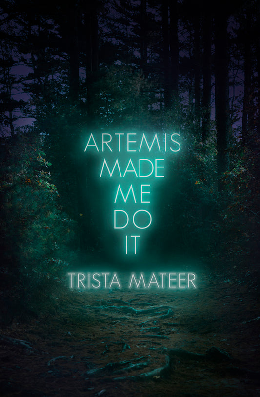 Book cover for Artemis Made Me Do It: Volume 2