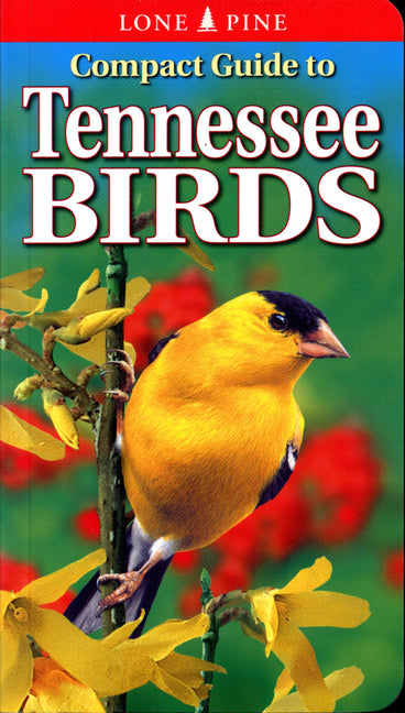 Book cover for Compact Guide to Tennessee Birds (Revised)