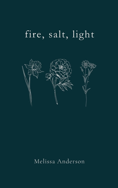 Book cover for fire, salt, light
