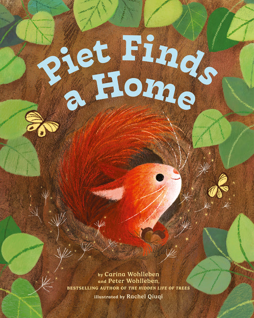 Book cover for Piet Finds a Home