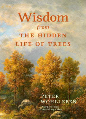 Book cover for Wisdom from the Hidden Life of Trees