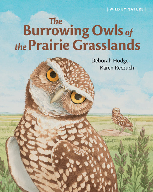Book cover for Burrowing Owls of the Prairie Grasslands