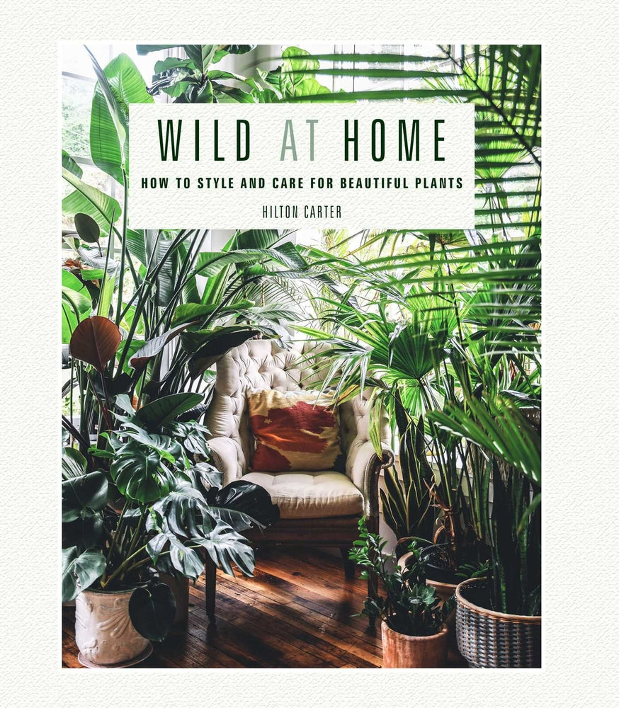 Book cover for Wild at Home: How to Style and Care for Beautiful Plants