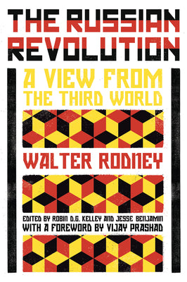Book cover for The Russian Revolution: A View from the Third World