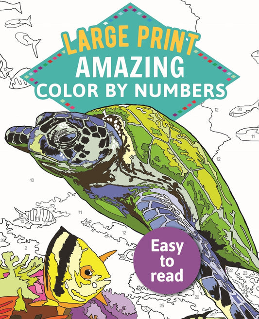 Book cover for Amazing Color by Numbers Large Print