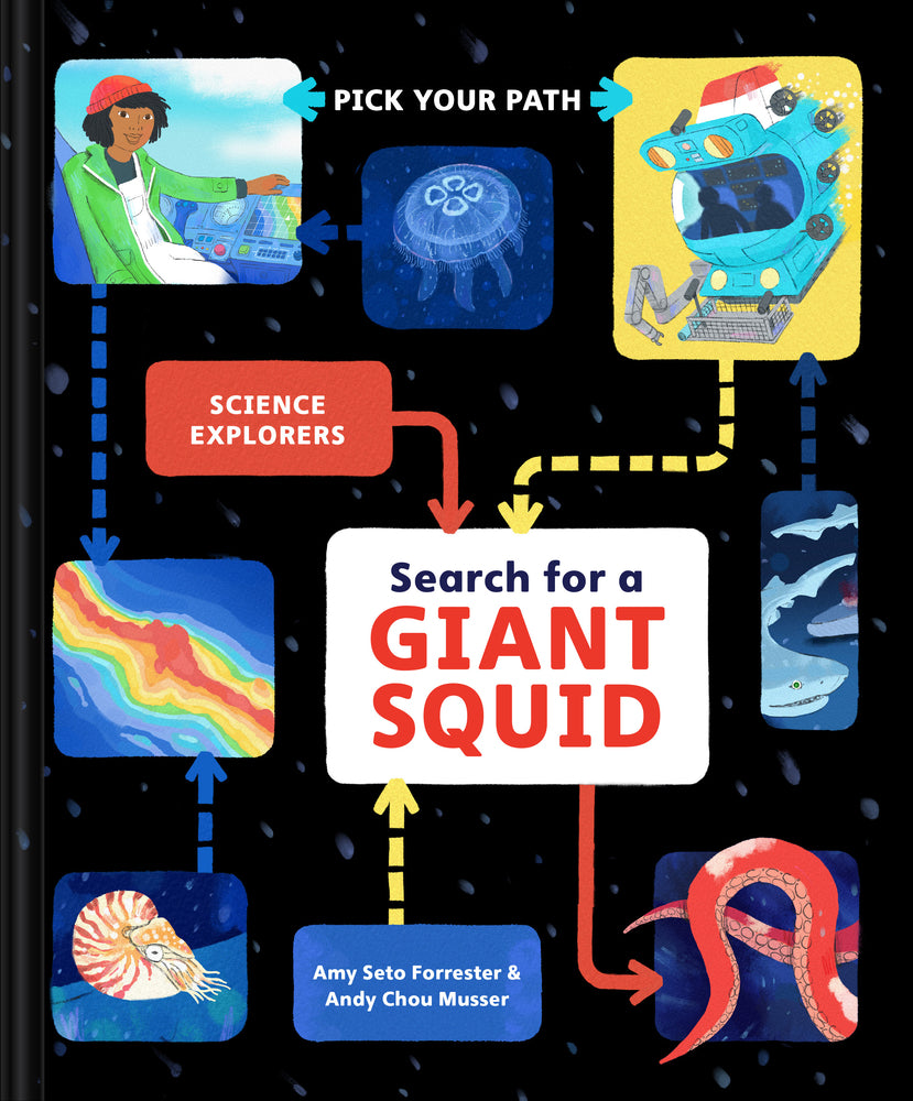 Book cover for Search for a Giant Squid: Pick Your Path