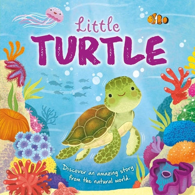Book cover for Nature Stories: Little Turtle-Discover an Amazing Story from the Natural World: Padded Board Book