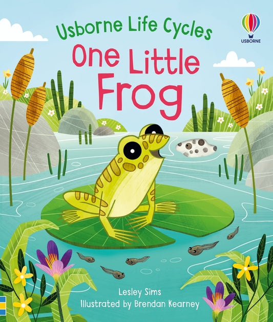 Book cover for One Little Frog